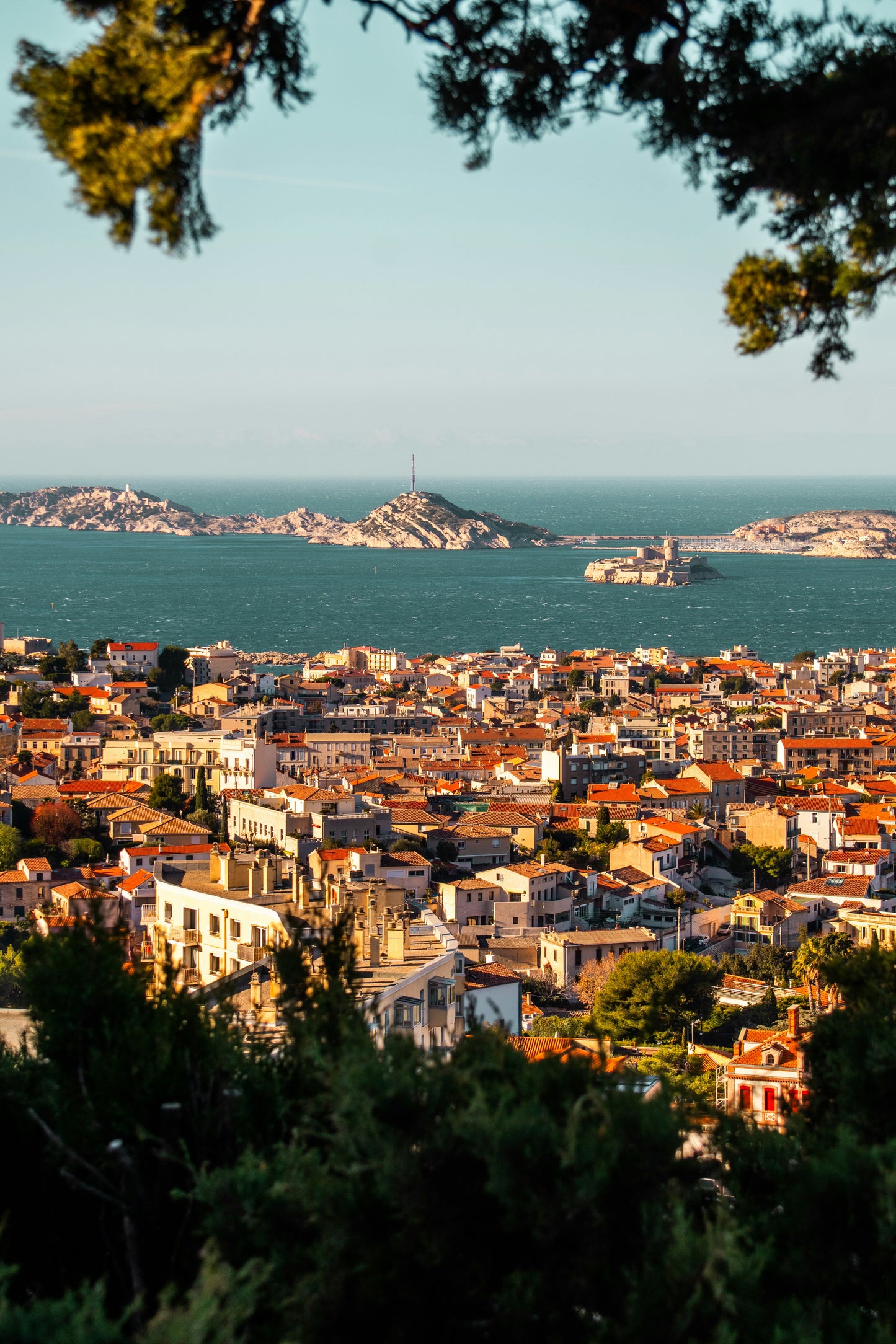 Sample daily schedule layout from Bloom Lisbon guide