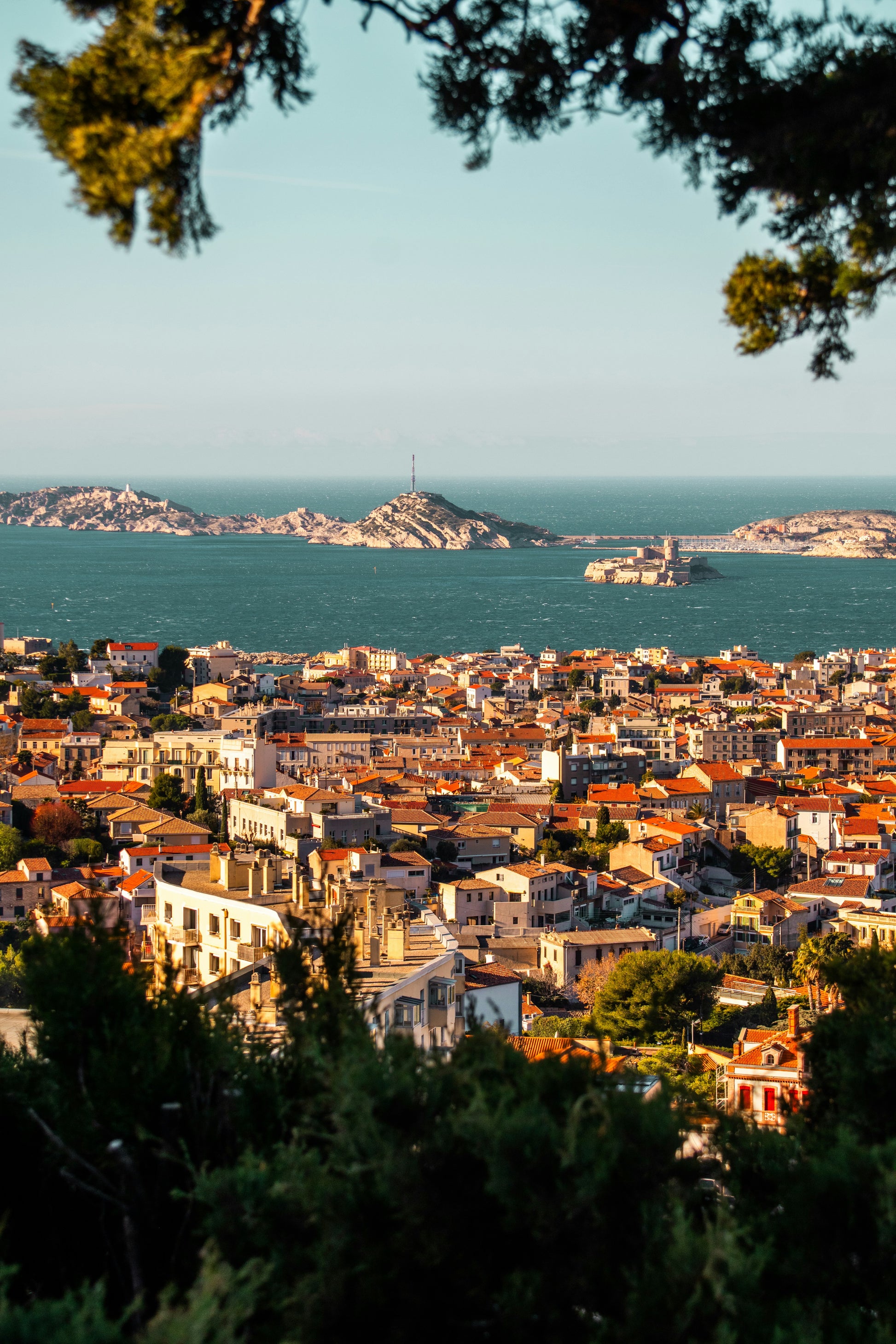 Sample daily schedule layout from Bloom Lisbon guide